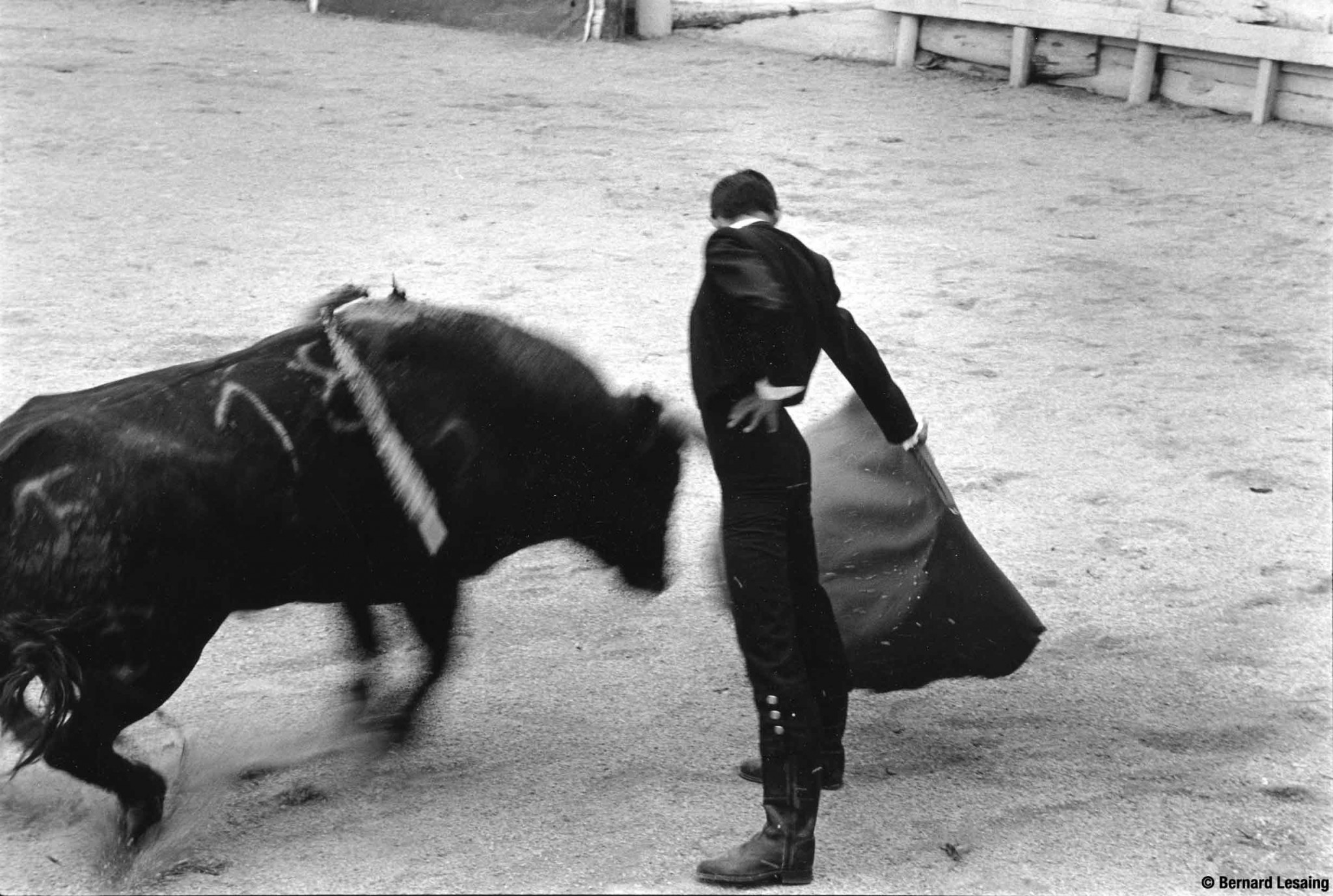  Arènes de Gimeaux, Arles, 2007 © Bernard Lesaing