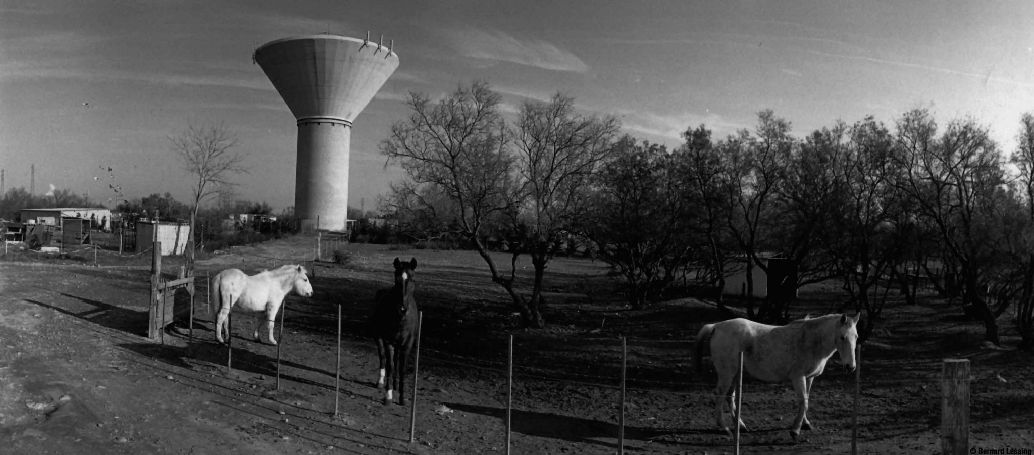 Jardins familiaux, Vauban nord, Port-Saint-Louis-du-Rhône, 2000-2002 © Bernard Lesaing