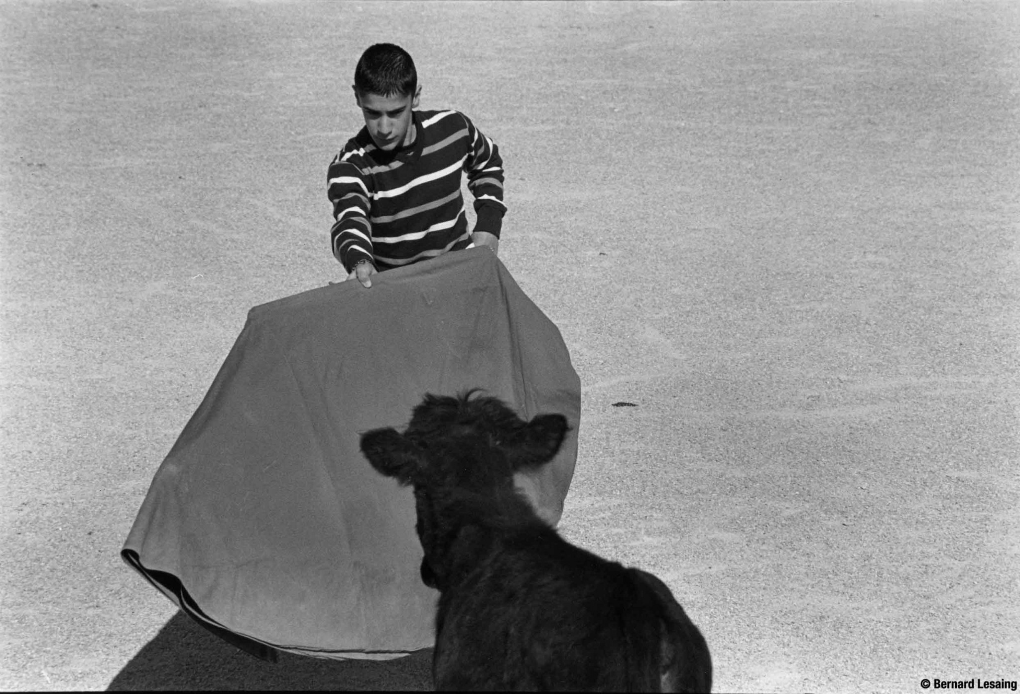 Arènes de Sonnailler, Arles, 2009 © Bernard Lesaing