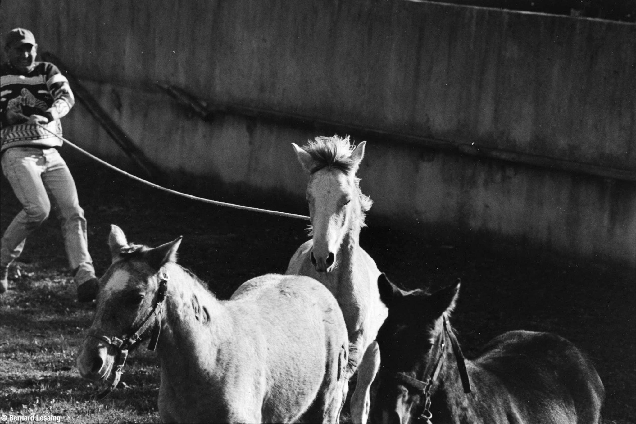 A la manade, Aureille, 2004-2005 © Bernard Lesaing