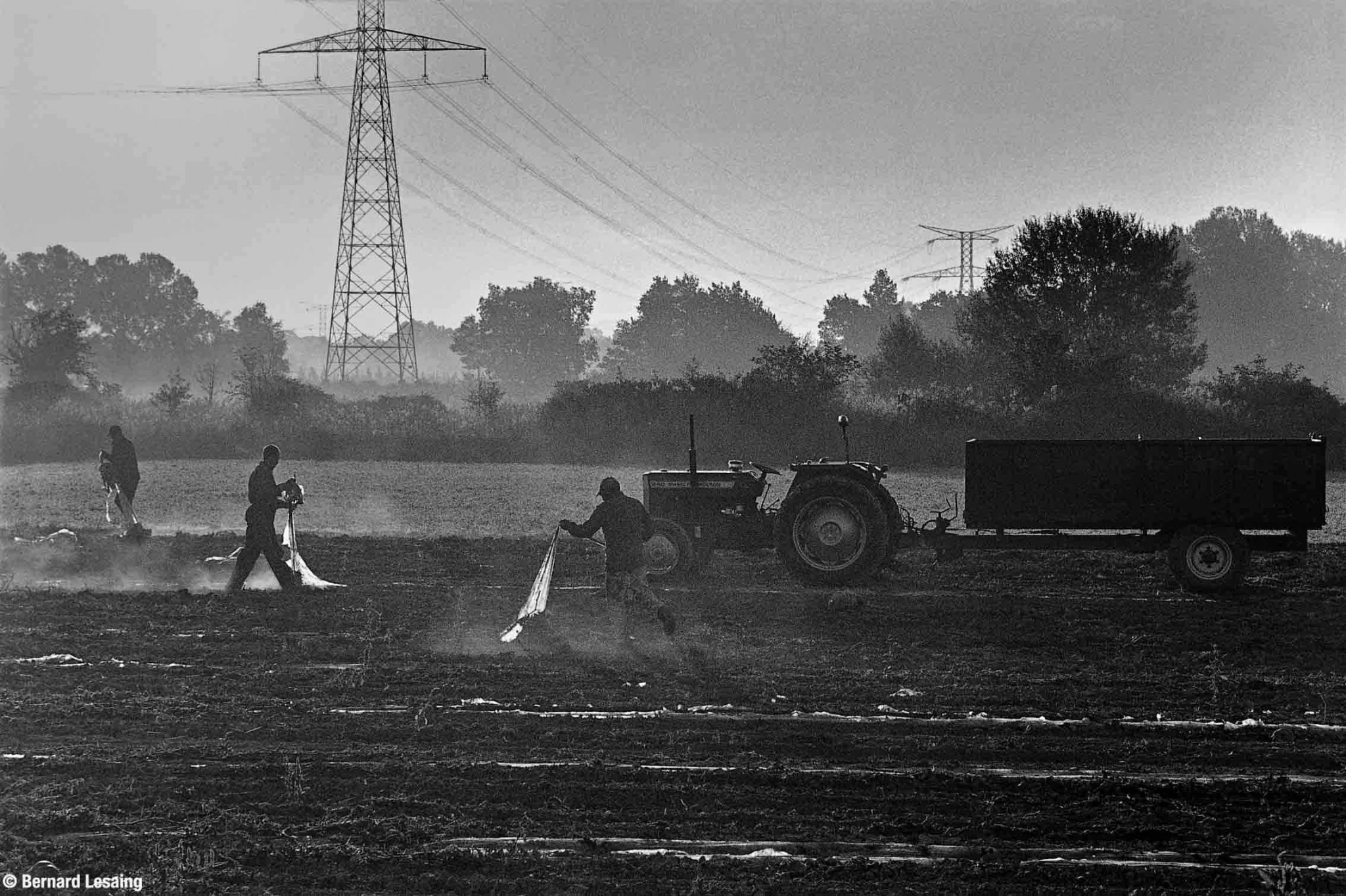 Dépaillage des courges, Le Puy Sainte Réparade, 2011, Bernard Lesaing