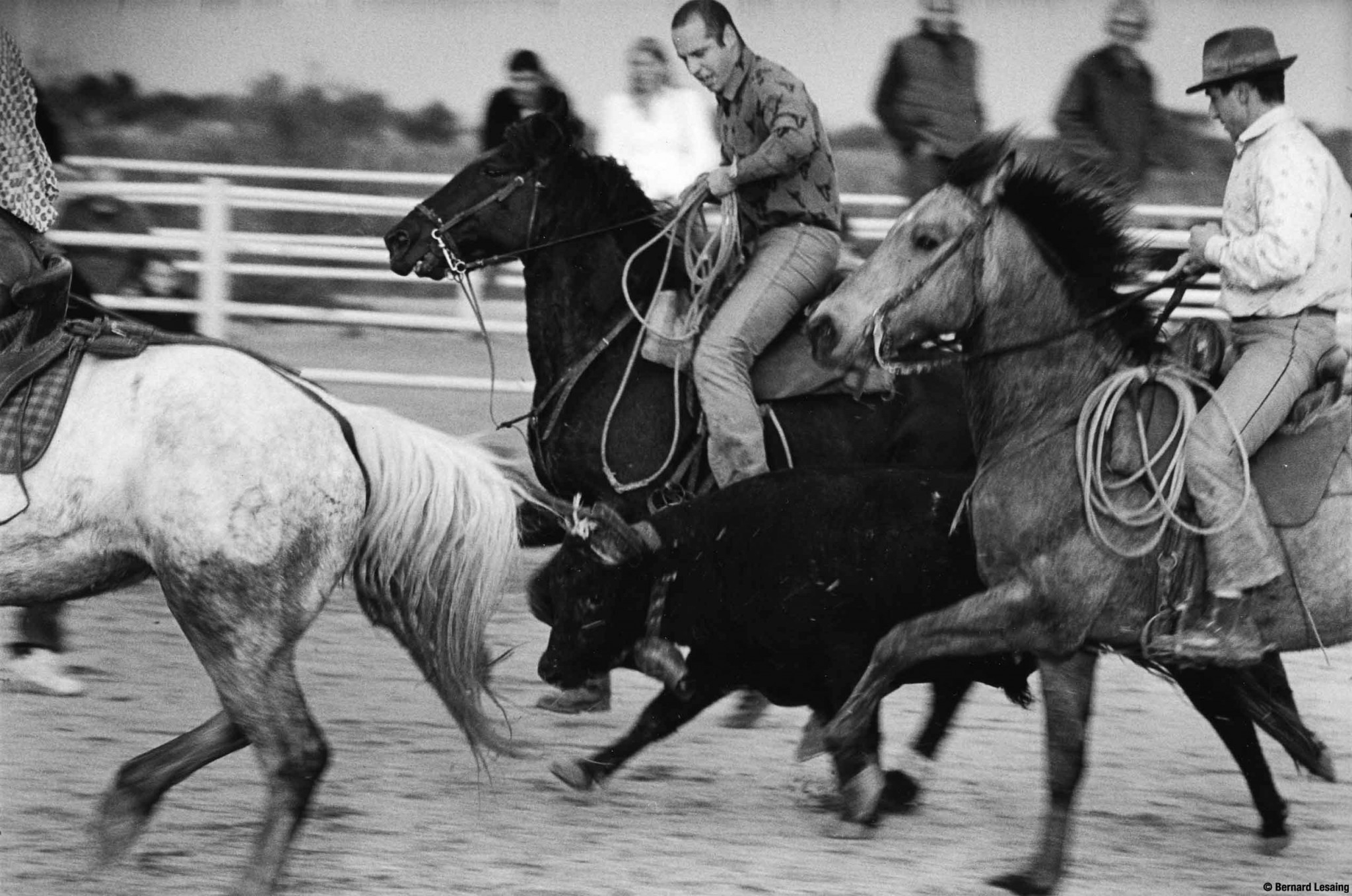 Saint Rémy de Provence, 2004-2005 © Bernard Lesaing