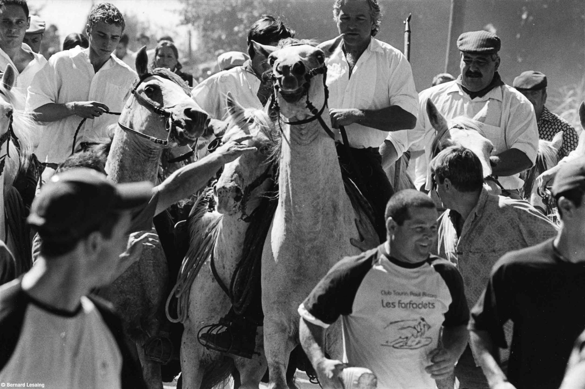 Saint Rémy de Provence, 2004-2005 © Bernard Lesaing
