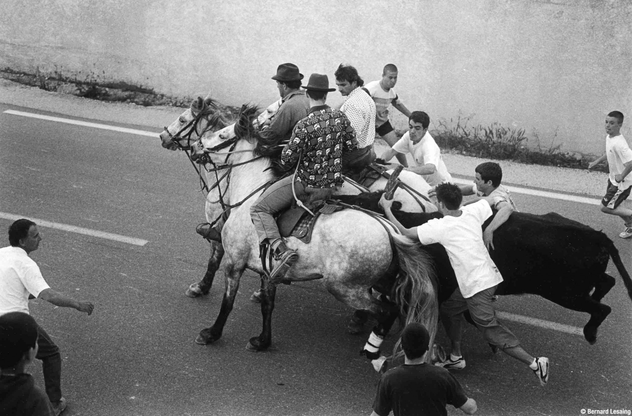 Abrivado, Eyguières, 2004-2005 © Bernard Lesaing