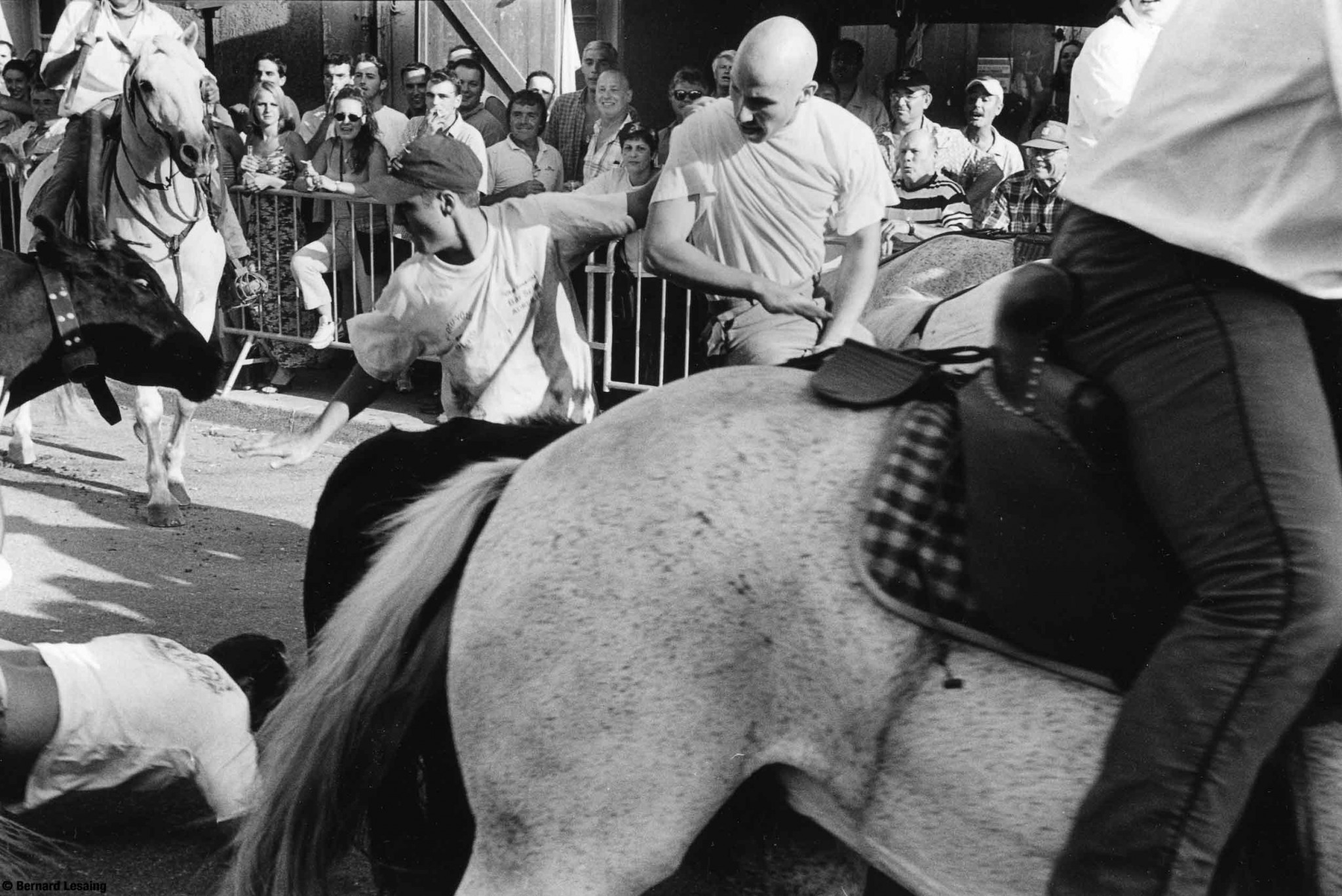  Abrivado, Fontvieille, 2004-2005 © Bernard Lesaing