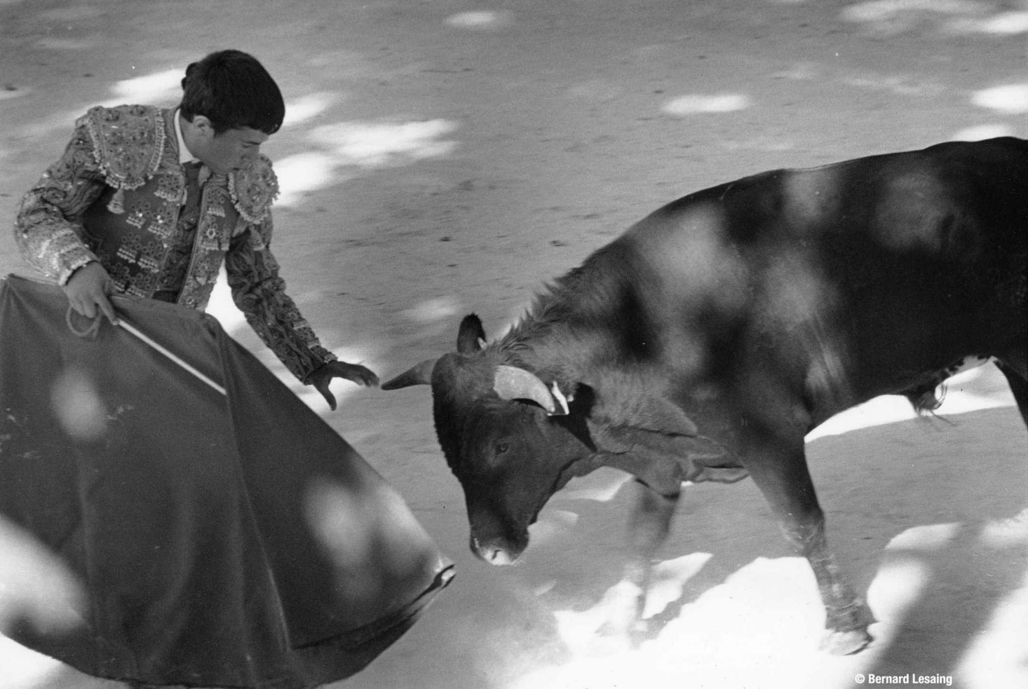  Arènes de Fontvieille, 2007 © Bernard Lesaing