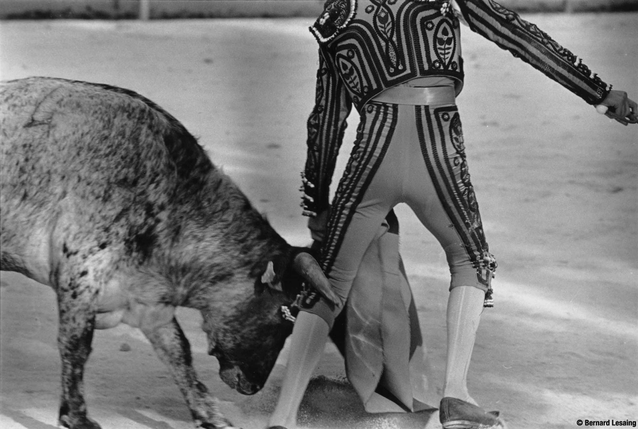 Arènes de Saint Etienne de Grès, 2009 © Bernard Lesaing