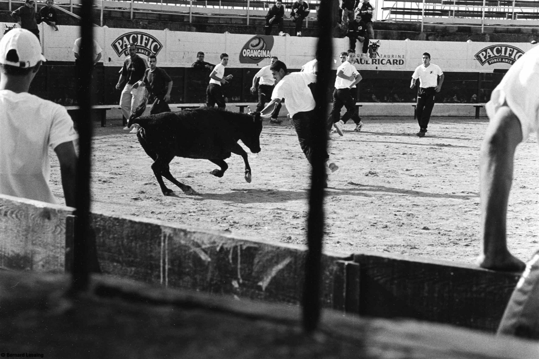 Arènes de Saint Rémy de Provence, 2004-2005 © Bernard Lesaing