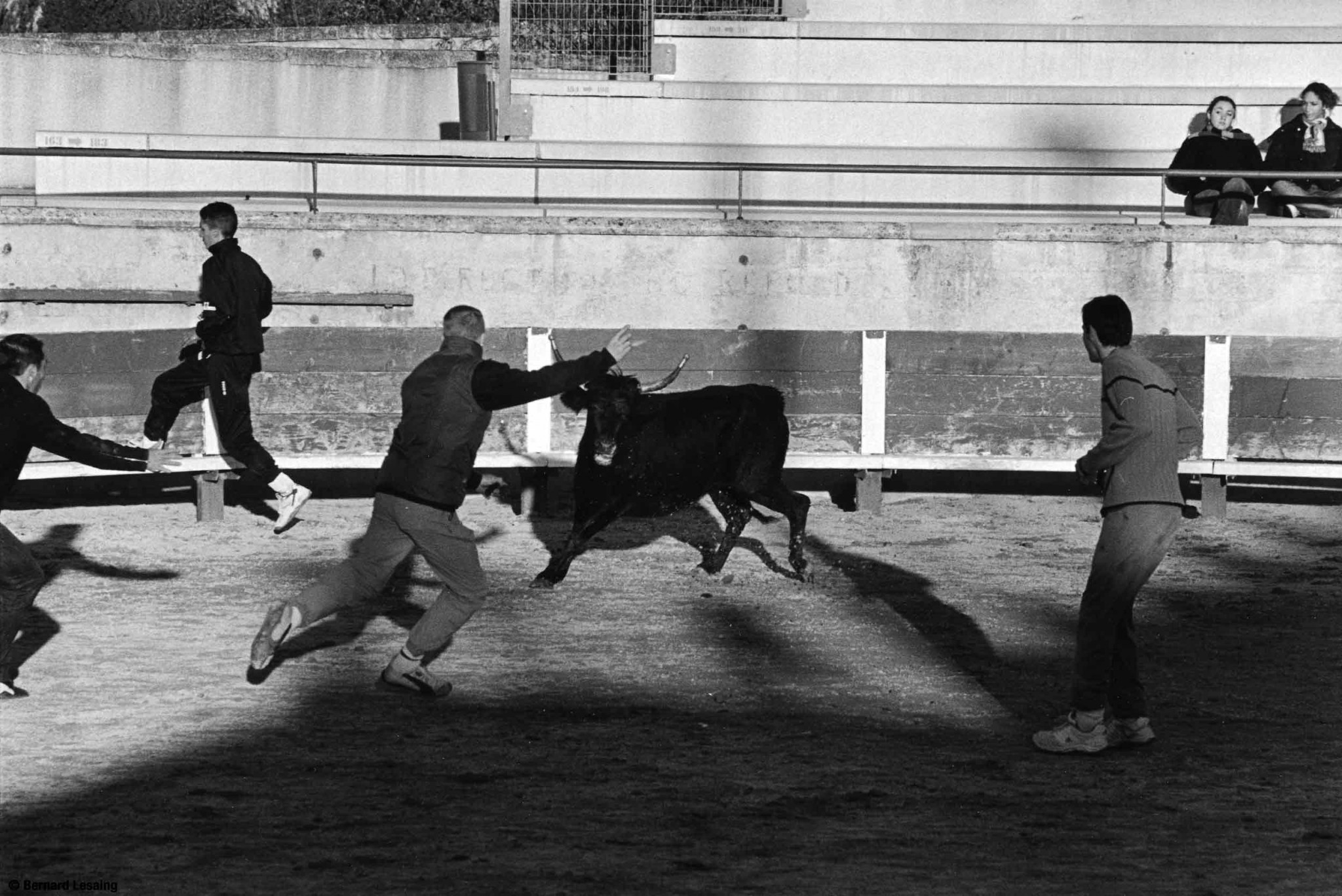 Arènes de Saint Rémy de Provence, 2004-2005 © Bernard Lesaing