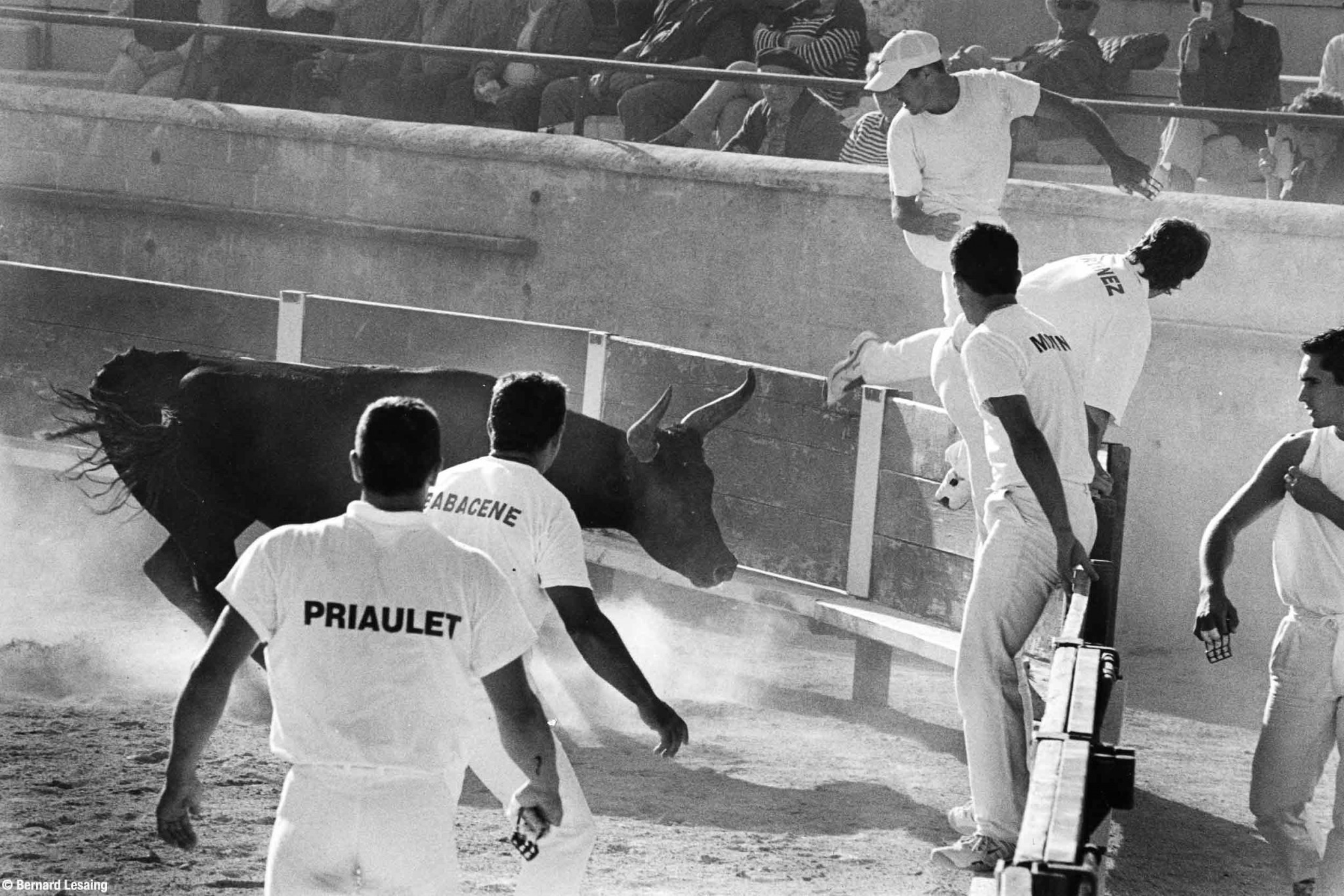 Arènes d'Aureille, 2004-2005 © Bernard Lesaing