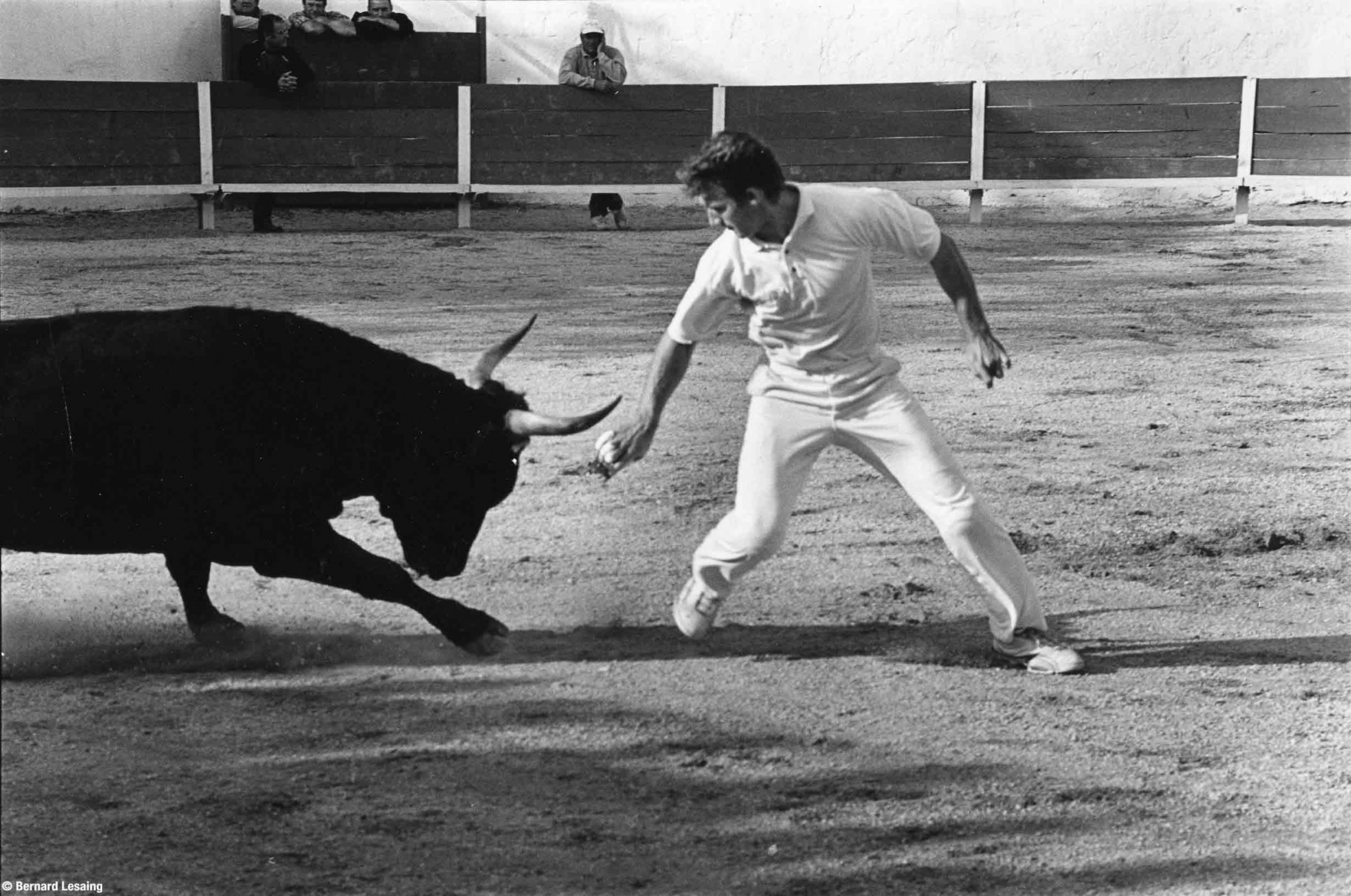 Arènes d'Aureille, 2004-2005 © Bernard Lesaing