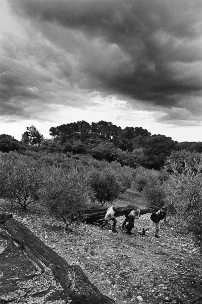 Filets de récoltes, La Roque d'Anthéron, 2010, Bernard Lesaing