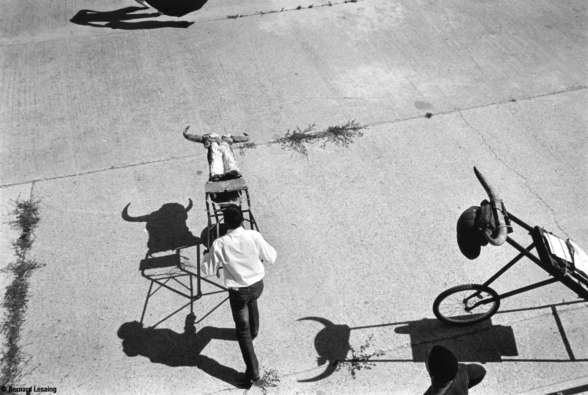 Arènes de Sonnailler, Arles, 2009 © Bernard Lesaing
