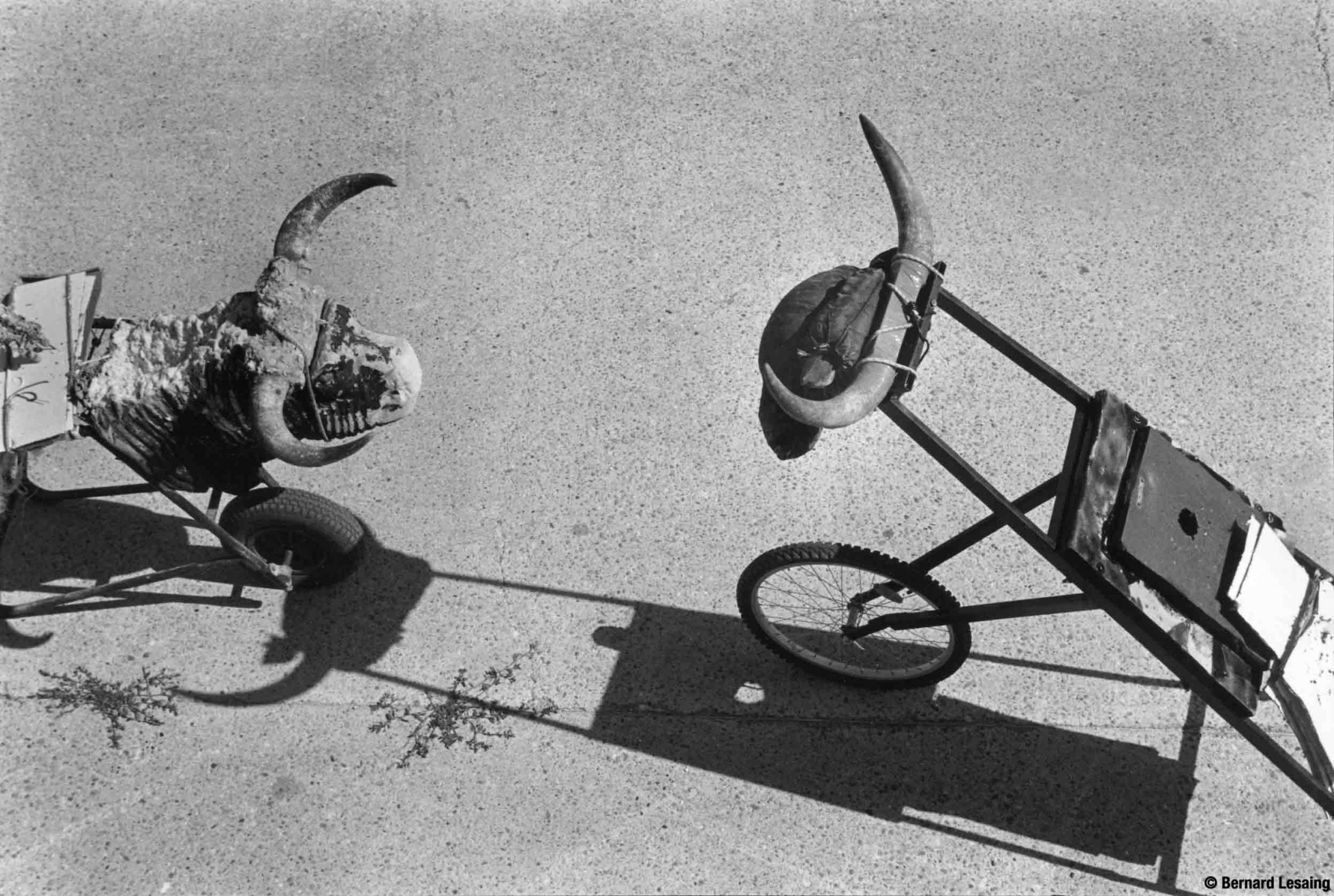 Arènes de Sonnailler, Arles, 2009 © Bernard Lesaing