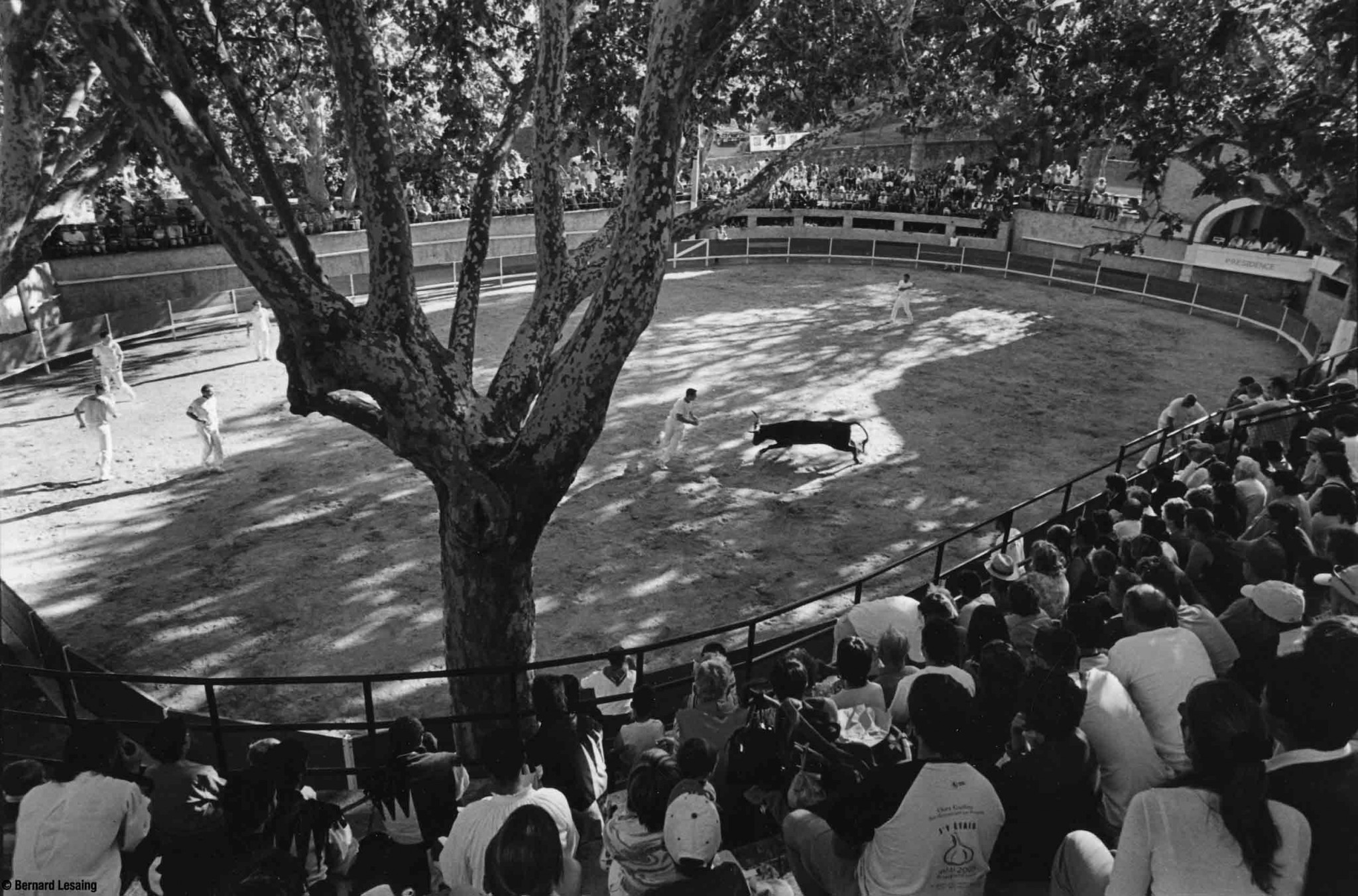 Arènes d'Eyguières, 2004-2005 © Bernard Lesaing