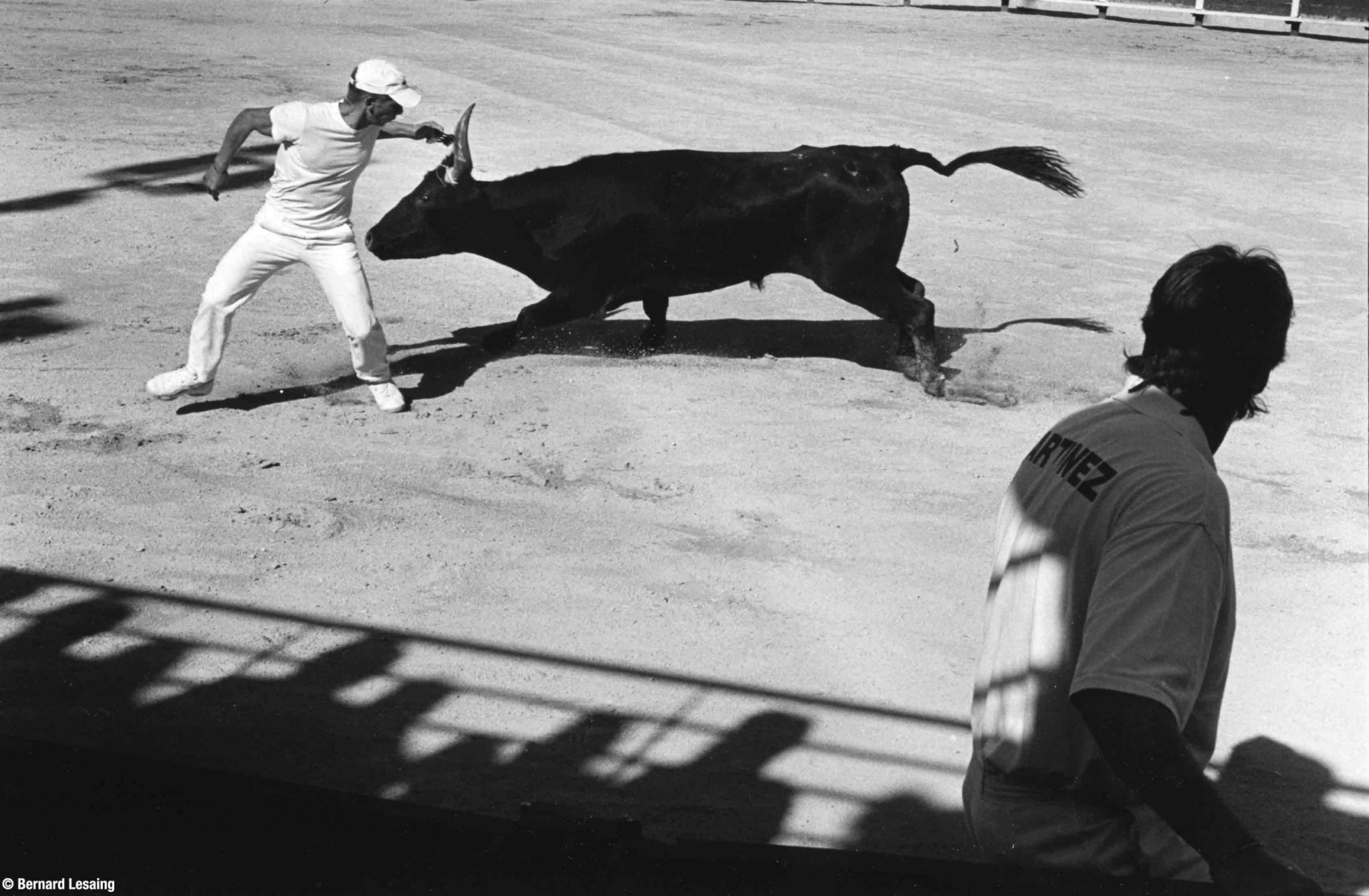 Arènes de Maussane, 2004-2005 © Bernard Lesaing