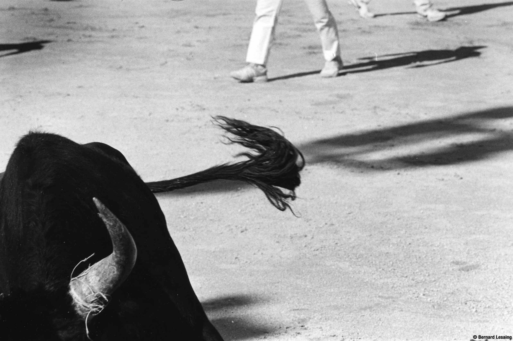 Arènes de Maussane, 2004-2005 © Bernard Lesaing