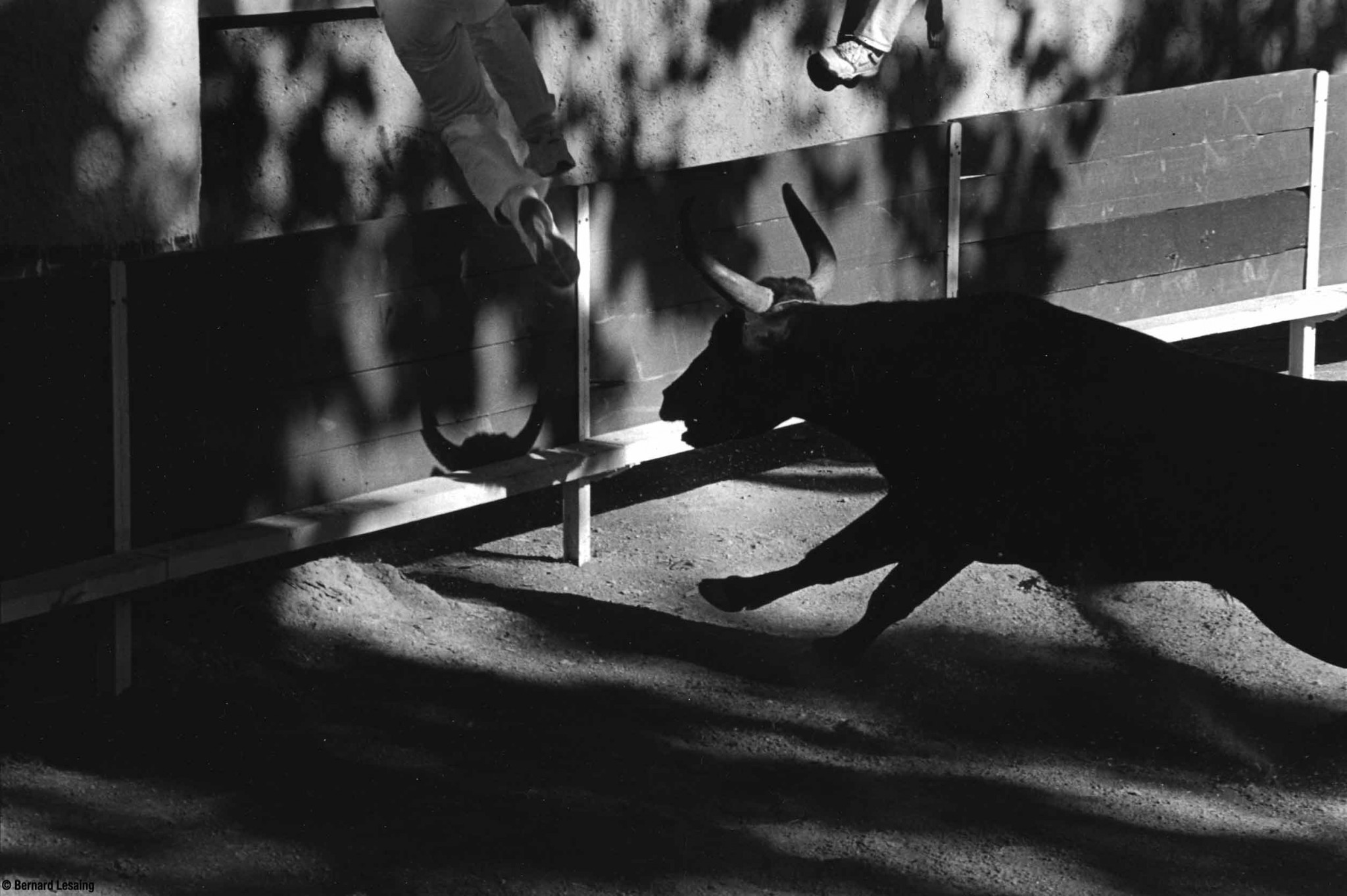 Arènes de Mouriès, 2004-2005 © Bernard Lesaing