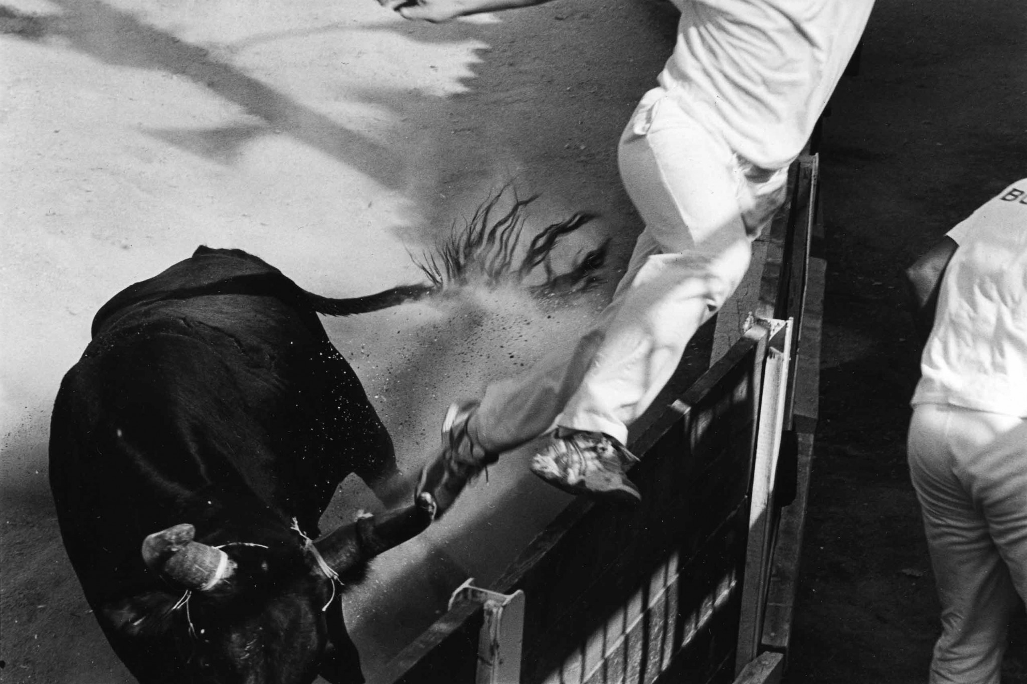 Arènes de Mouriès, 2004-2005 © Bernard Lesaing