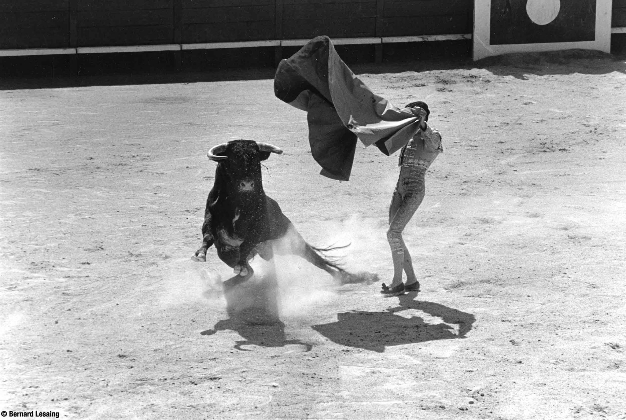 Arènes de Saint Etienne du Grès, 2009 © Bernard Lesaing