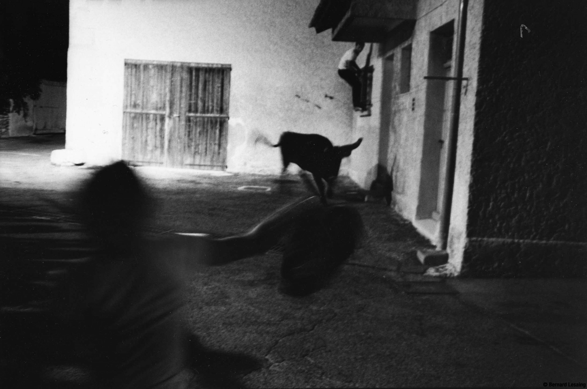 Arènes d'Aureille, 2004-2005 © Bernard Lesaing