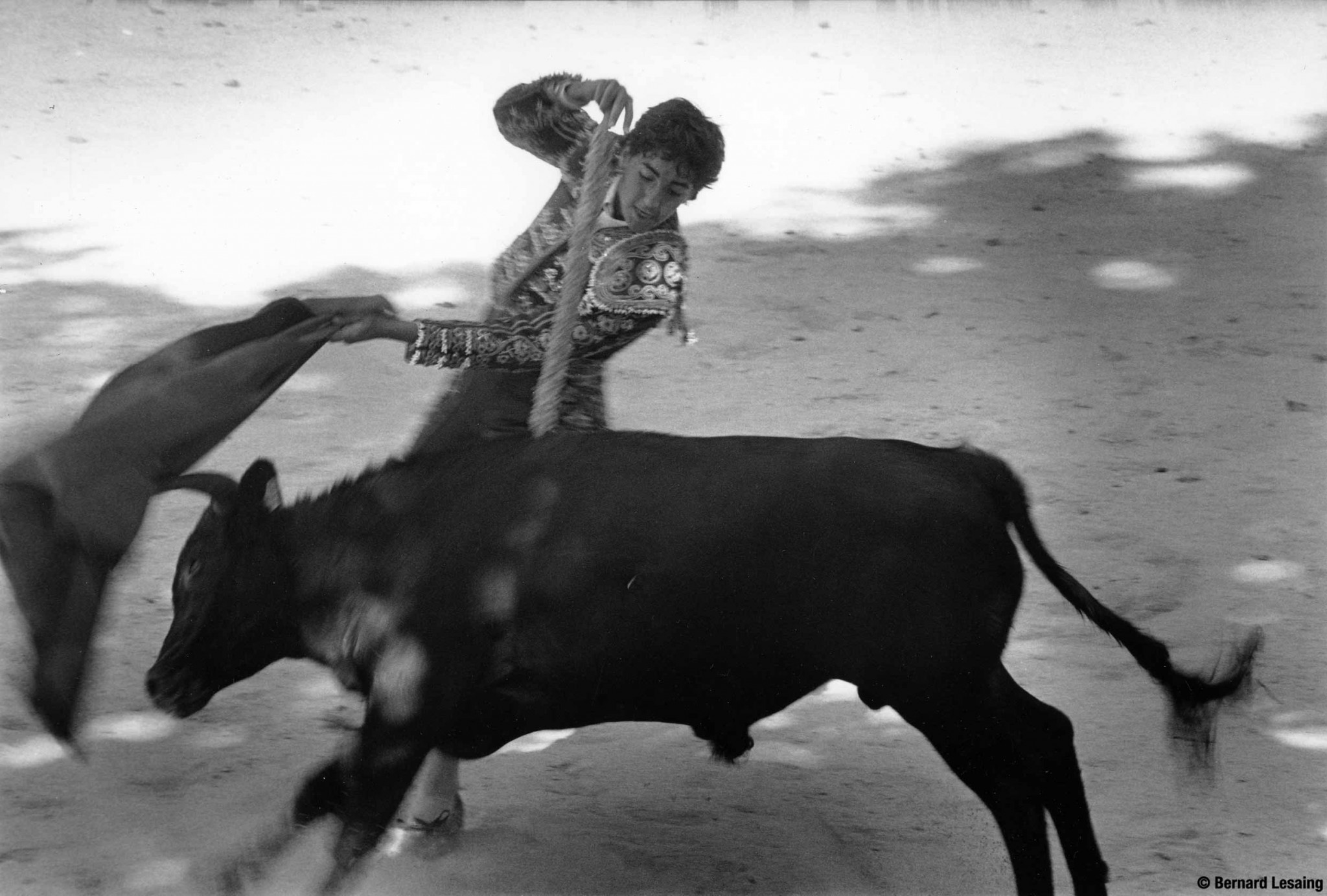 Arènes de Saint Etienne du Grès, 2009 © Bernard Lesaing