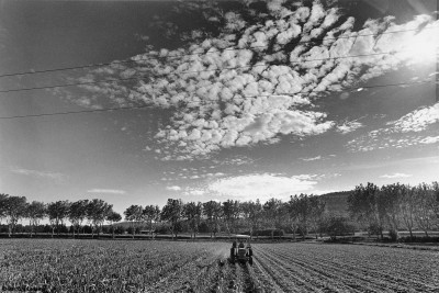 Broyage du chaume de maïs, Le Puy Sainte Réparade, 2011, Bernard Lesaing