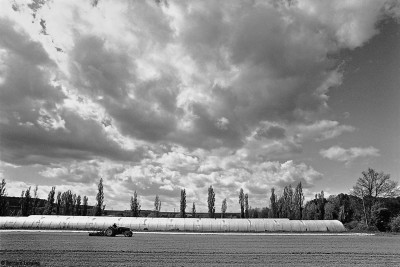 Affinement des sols avant plantation, ventabren, 2012, Bernard Lesaing